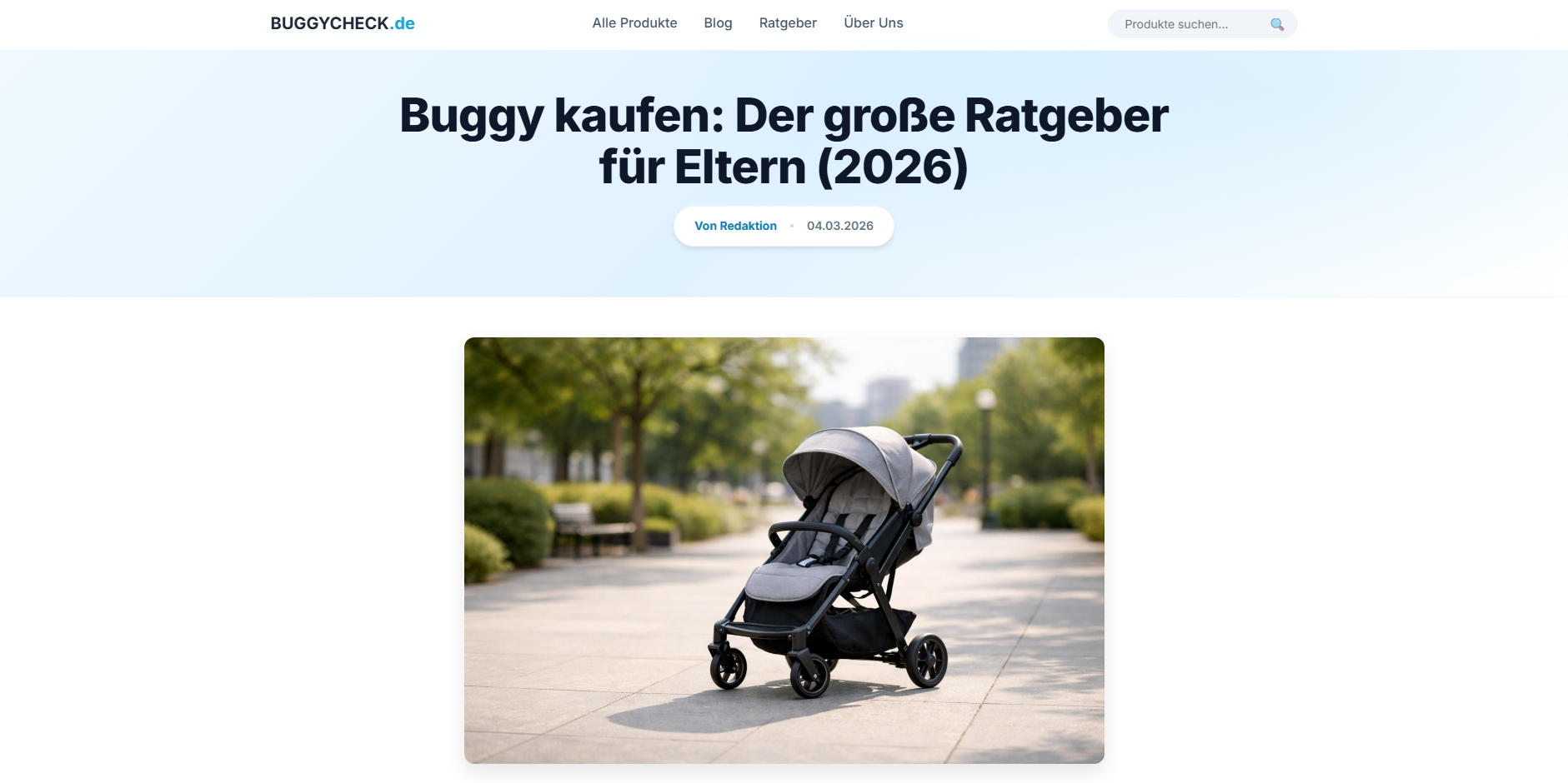Buggycheck.de Website Screenshot